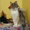 Отзыв от Яна Ткачева